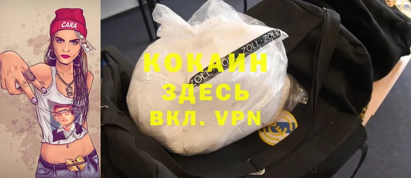 Cocaine Columbia  купить   Новозыбков 