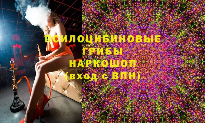 Галлюциногенные грибы Magic Shrooms  Новозыбков 